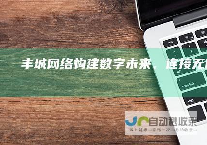 丰城网络：构建数字未来，连接无限可能